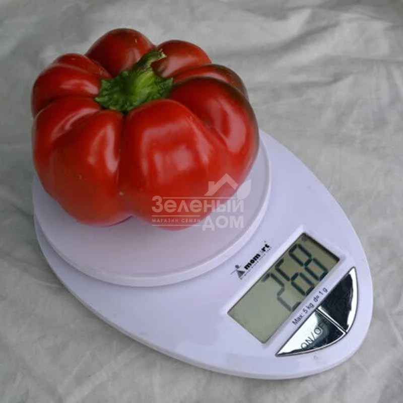 Ред Булл F1 / Red Bull F1,70 дней фото 3