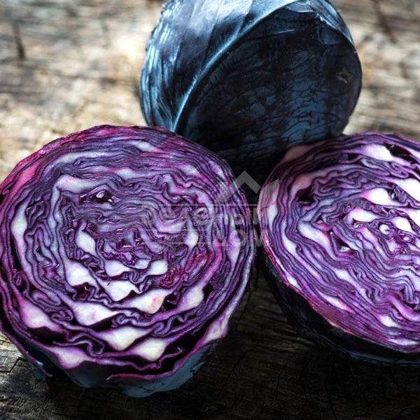 Розера F1 / Rozera F1,120-125 дней фото 1