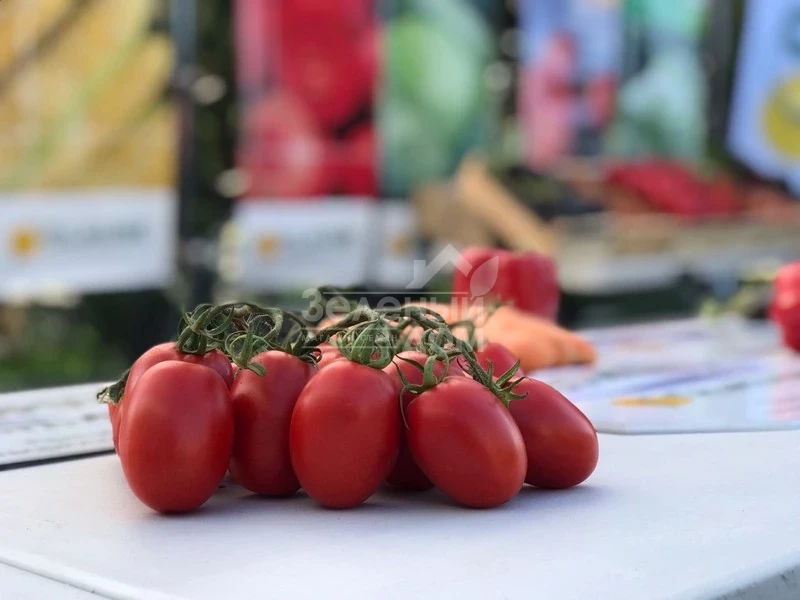 Пьетра Росса F1 / Petra Rossa F1,115 дней фото 1