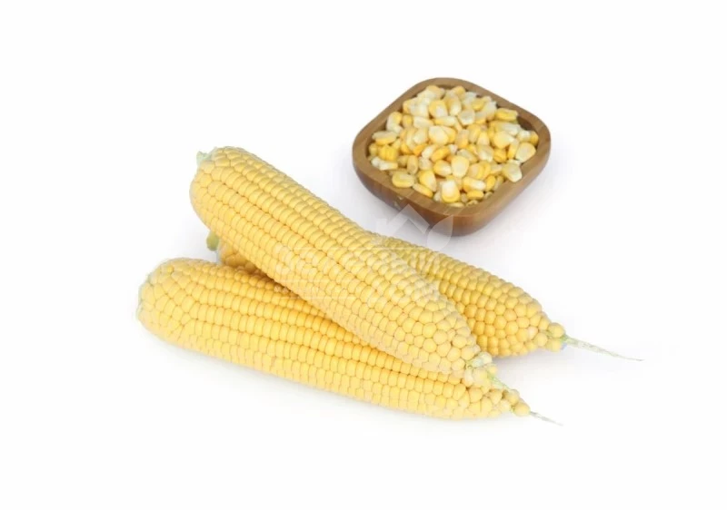 Вега F1 / Vega F1,70-75 дней фото 1