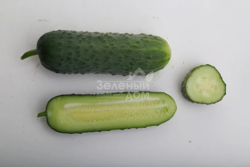 ЛС 1912 F1 / LS 1912 F1 фото 3