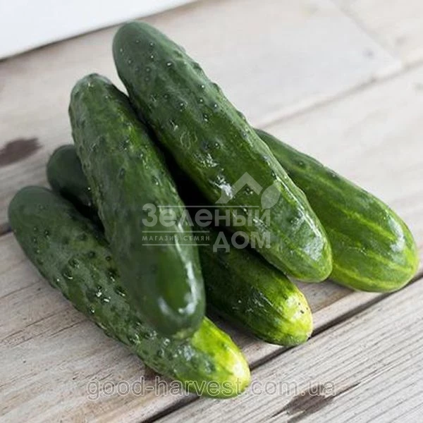 Ловели F1 / Lovely F1,37 дней фото 1