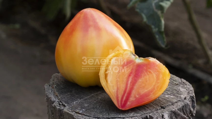 Мадрид F1 / Madrid F1 фото 1