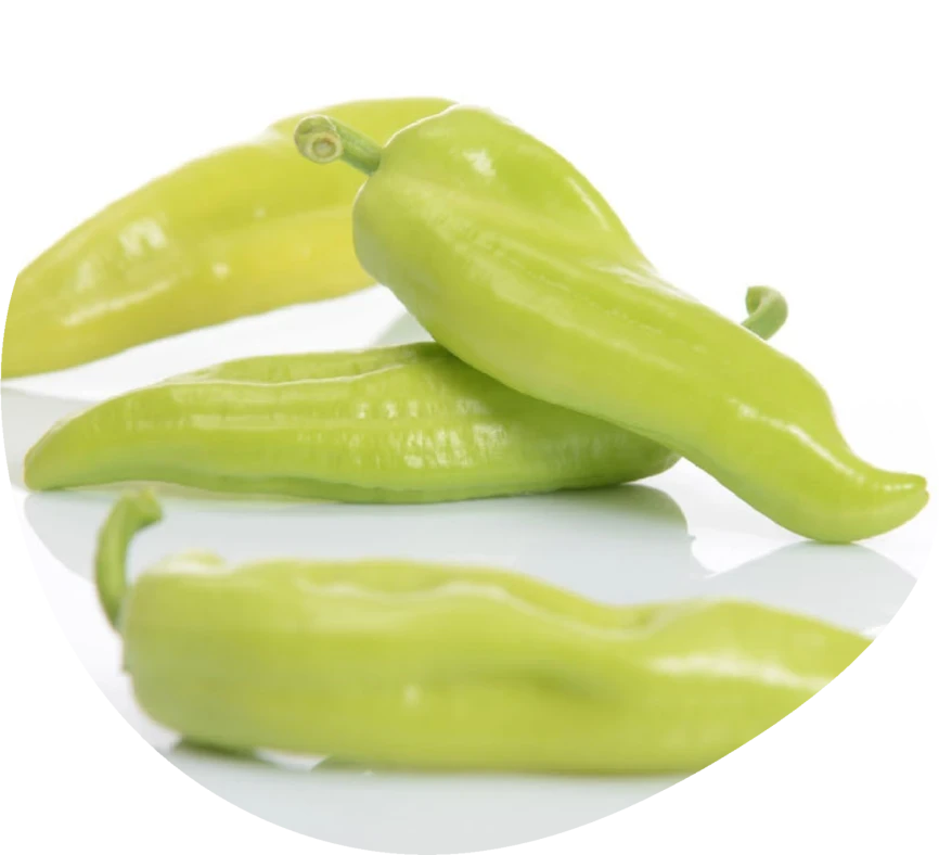 Фуджи F1 / Fudzhi F1  фото 1