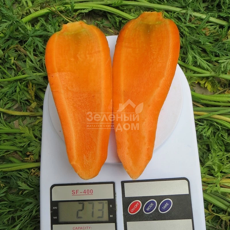 Болтекс / Boltex,110-120 дней фото 2