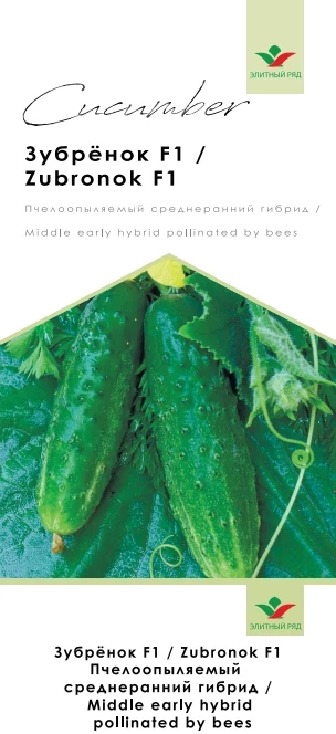 Зубренок / Zubrenok фото 1