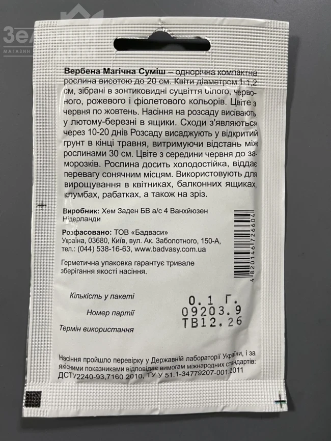 Вербена гибридная Магическая (смесь) фото 2