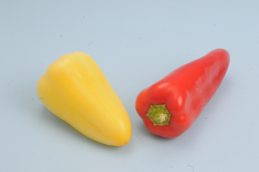 ЛС 1126 F1 / LS 1126 F1,55-65 днів фото 2