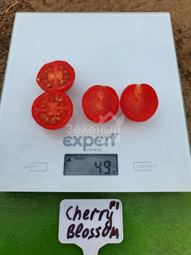 Чери Блоссом F1 / Cherry Blossom F1 фото 3