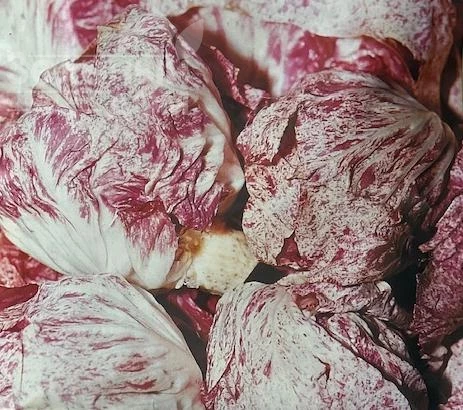 Ди Кьоджа / Di Kiodzha, 60 дней фото 1