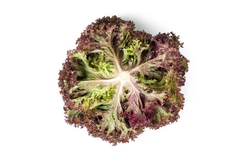 Самантайн / Samantine фото 1