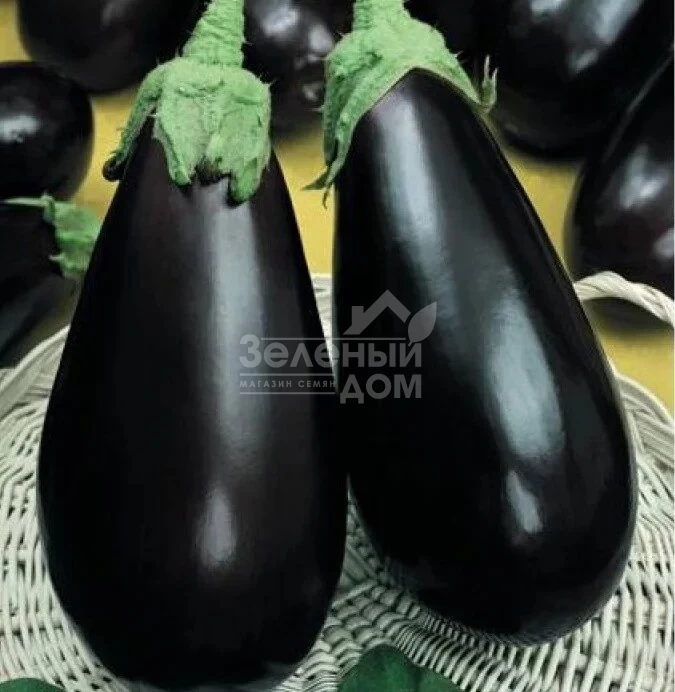 Визир F1 / Vizir F1,70-75 дней фото 2