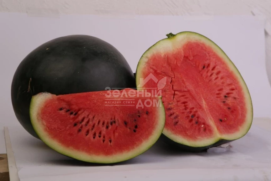 Туманец F1 / Tumanec F1 фото 1