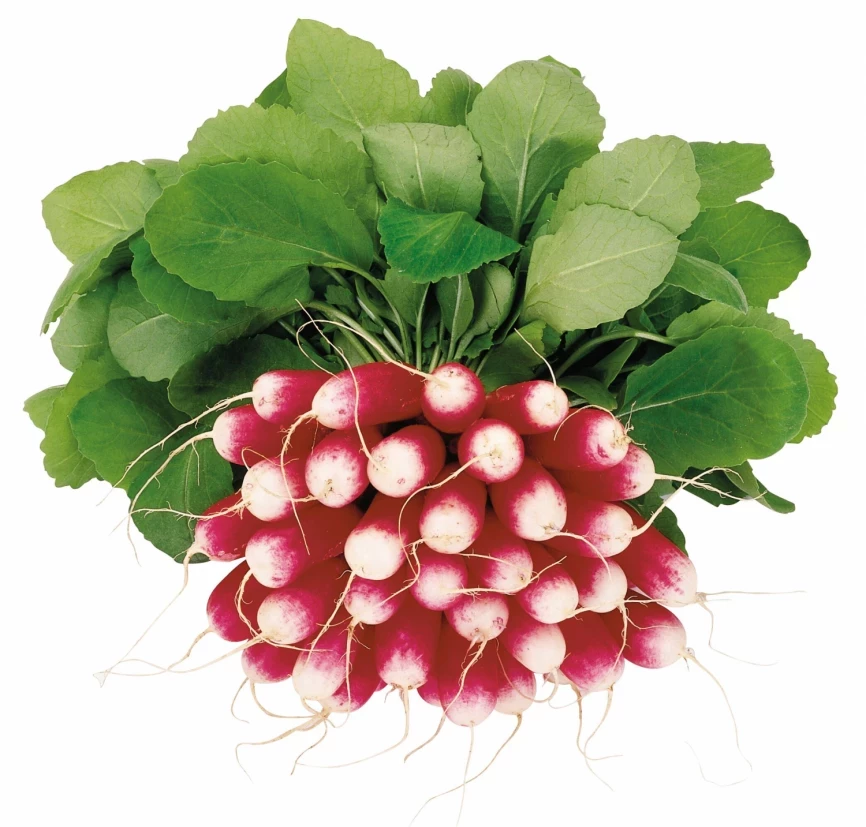 Трето F1 / Treto F1 фото 1