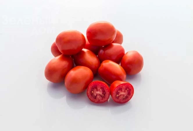 1648 F1 / 1648 F1, 115-120 дней фото 3