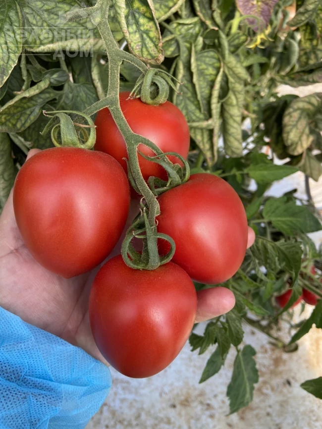 Бильбао F1 / Bilbao F1 фото 3