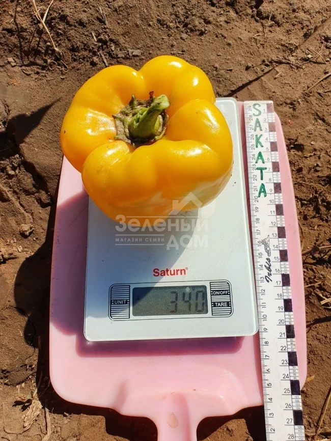 Эспартано F1 / Espartano F1 фото 2