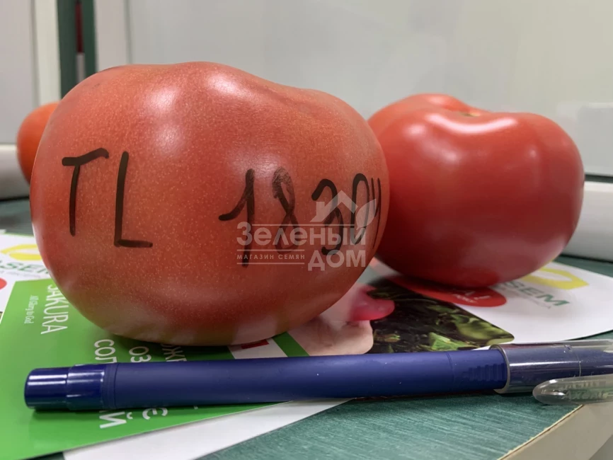 Розетт (ТЛ 18304) F1 / Rosett (TL 18304) F1 фото 3