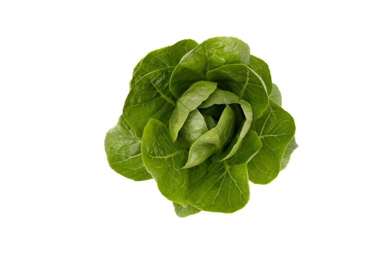 Рабелло / Rabello фото 4