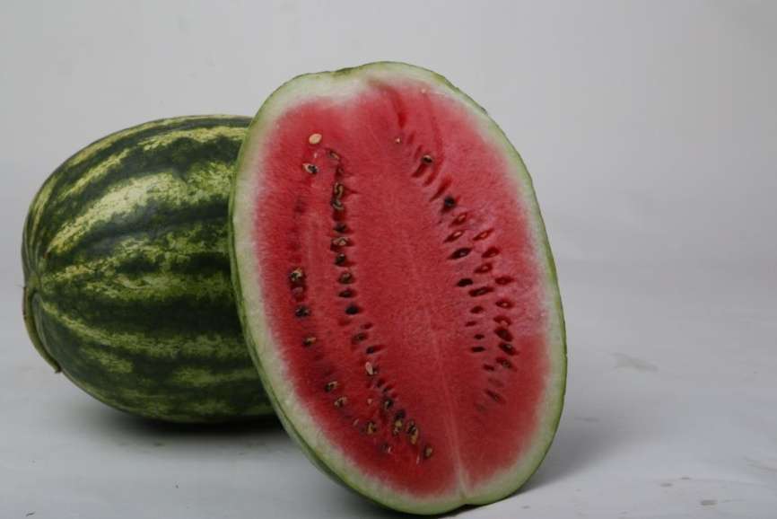 ЛС 1810 F1 / LS 1810 F1 фото 2