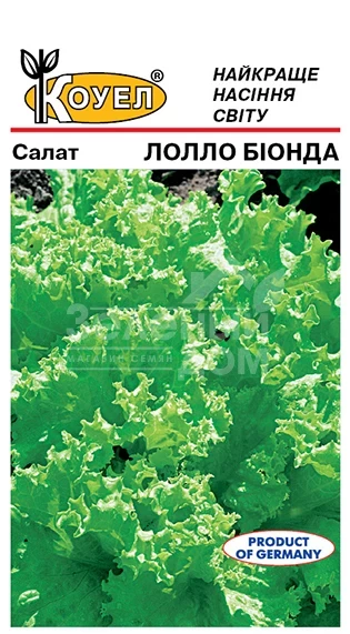 Лолло Бионда / Lollo Bionda фото 1