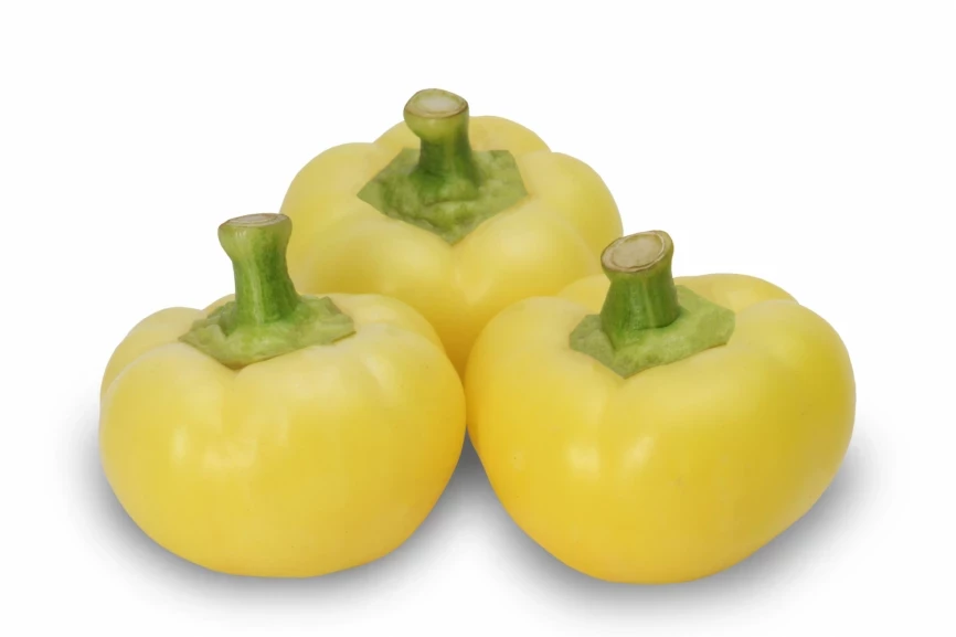 Бикиш F1 / Bikish F1 фото 1