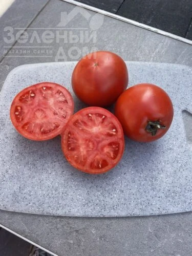 Хард Рок F1 / Hard Rok F1, 110 дней фото 1