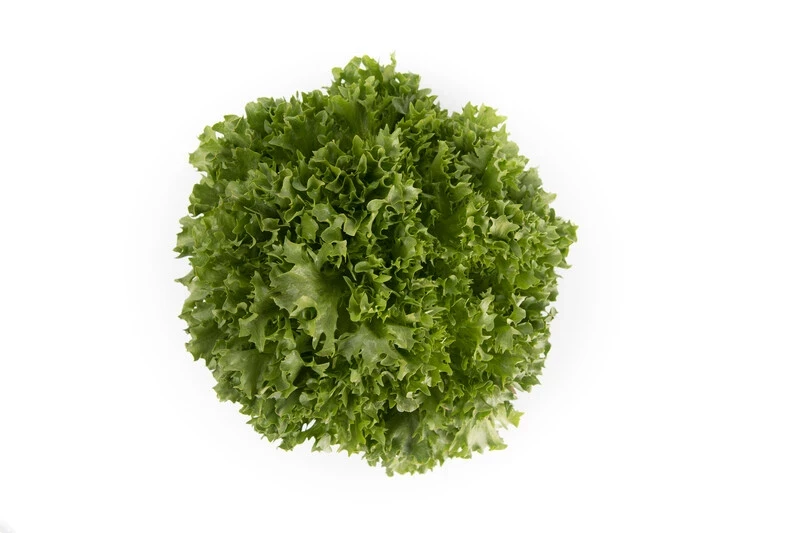 Экспонент / Exponent фото 1