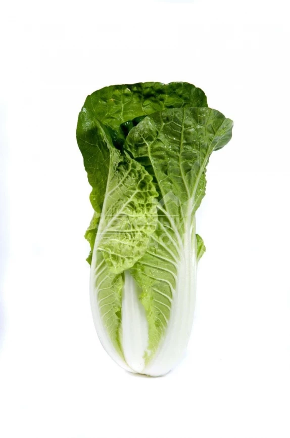 Натсуки F1 / Natsuki F1, 55-60 дней фото 3