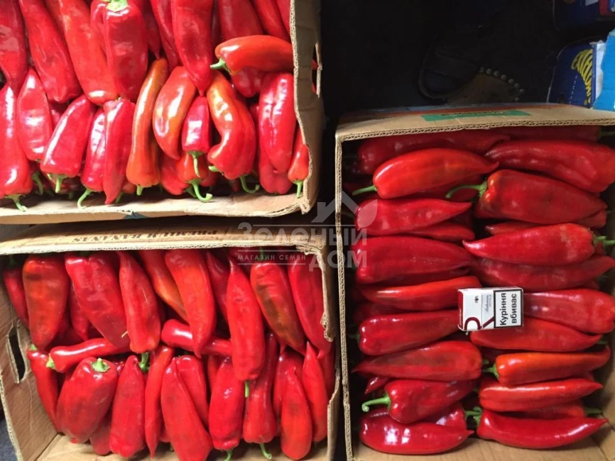 Супер Кап F1 / Super Cаp F1, 60-65 дней фото 5