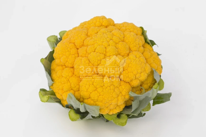 Клементин F1 / Clementine F1, 75-80 дней фото 1