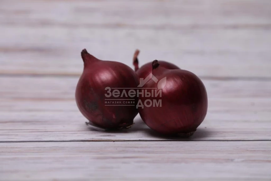 Тимур F1 (LS 5612) / Timur F1 (LS 5612) фото 2