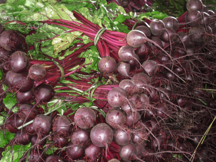 Ронда F1 / Rhonda F1,118-119 днів фото 3