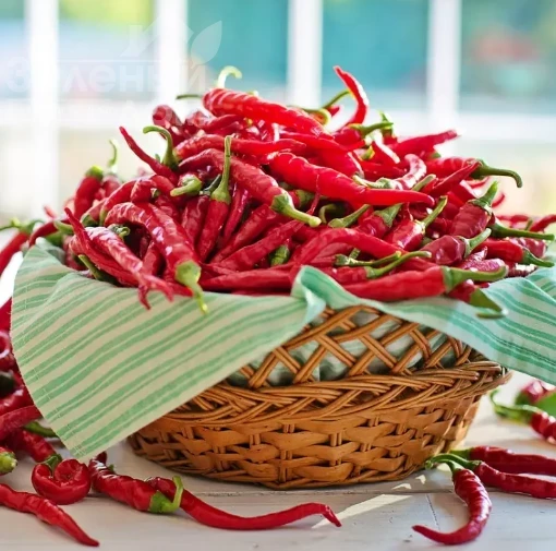 Пиноккио F1 / Pinokkio F1 фото 1