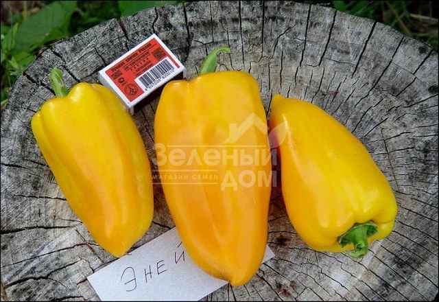 Эней / Eney фото 1