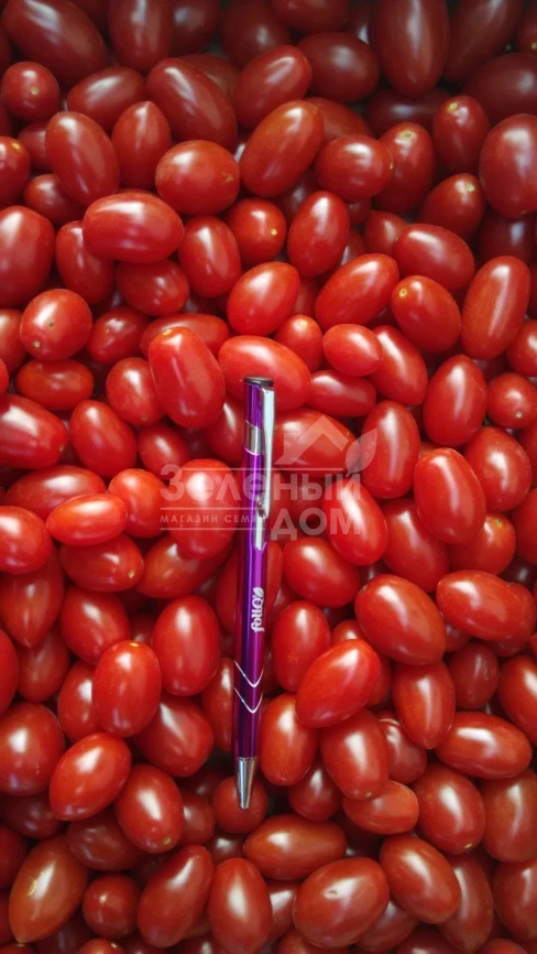 Дольчесио F1 / Dolchicio F1,95-105 дней фото 1