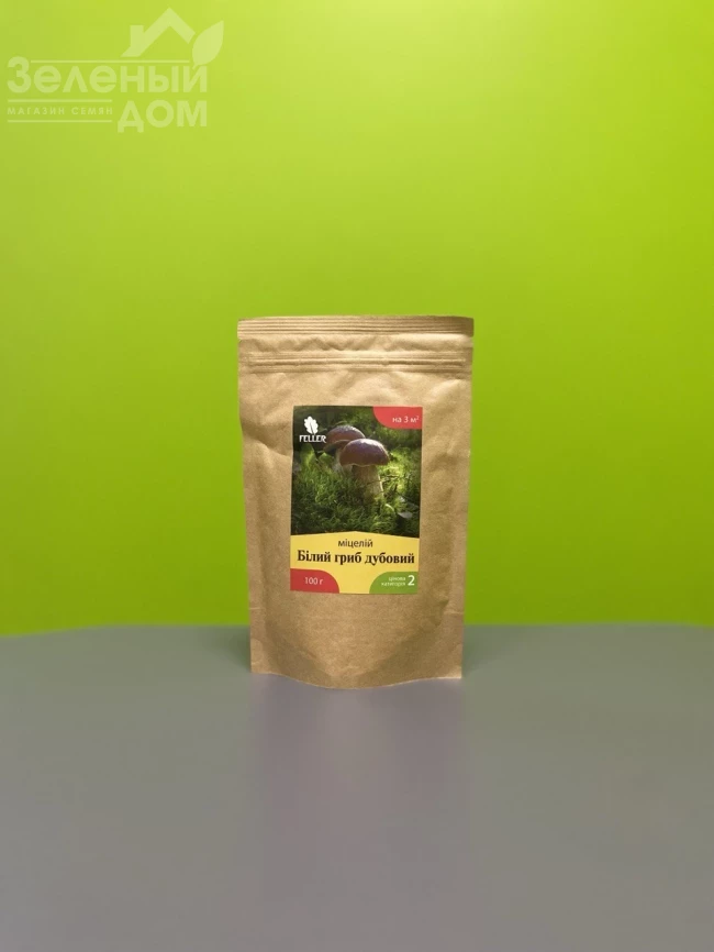 Белый гриб дубовый фото 1