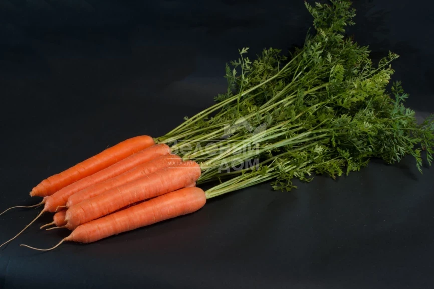 Санторин F1 / Santorin F1,120 дней фото 1