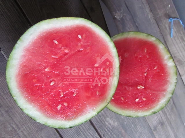 ЛС 1802 F1 / LS 1802 F1 фото 3