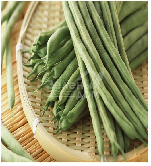 Пайк / Paik фото 1