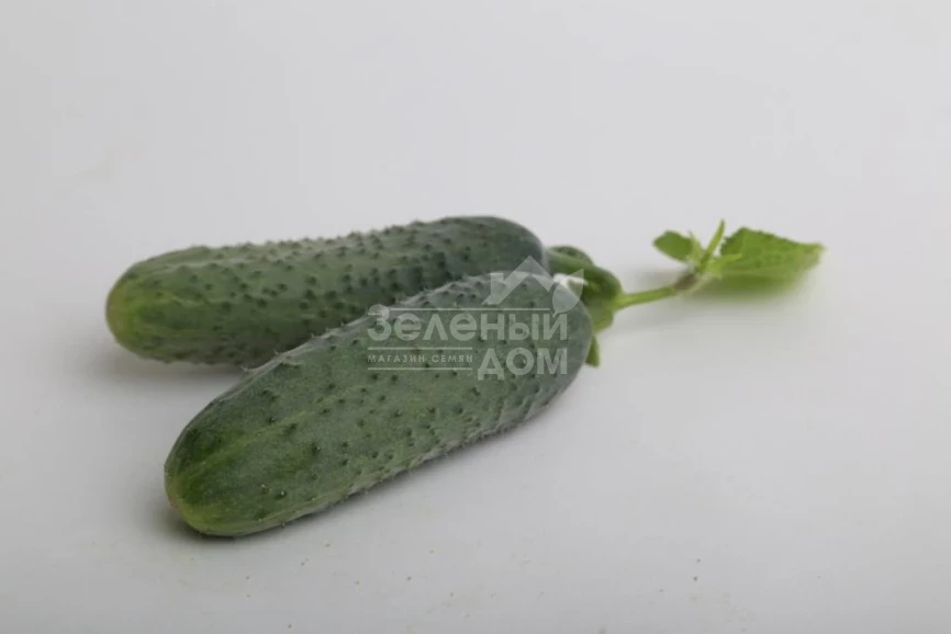 ЛС 1912 F1 / LS 1912 F1 фото 2