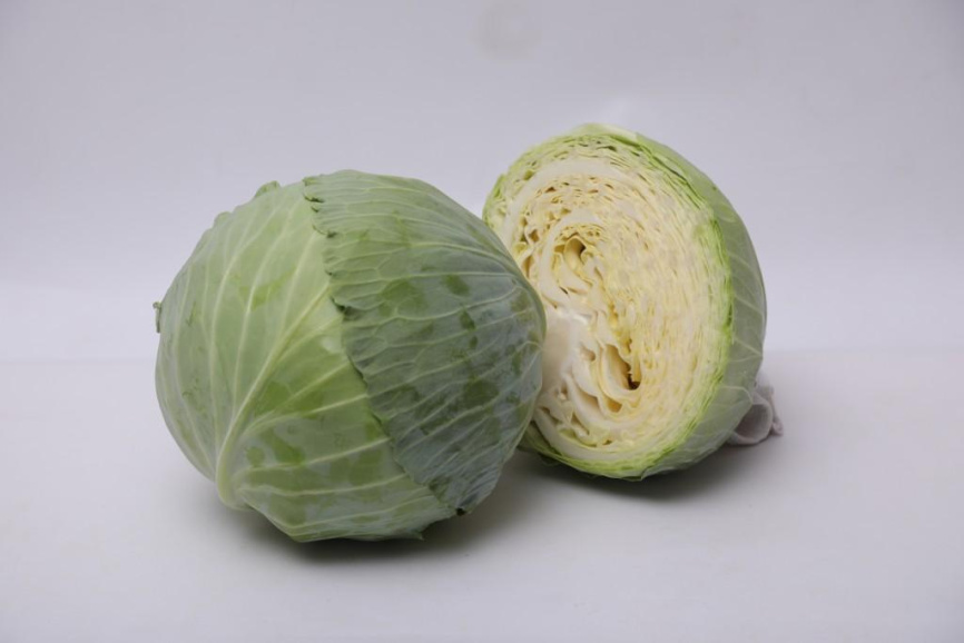 Віконт F1 / Vikont F1 фото 2