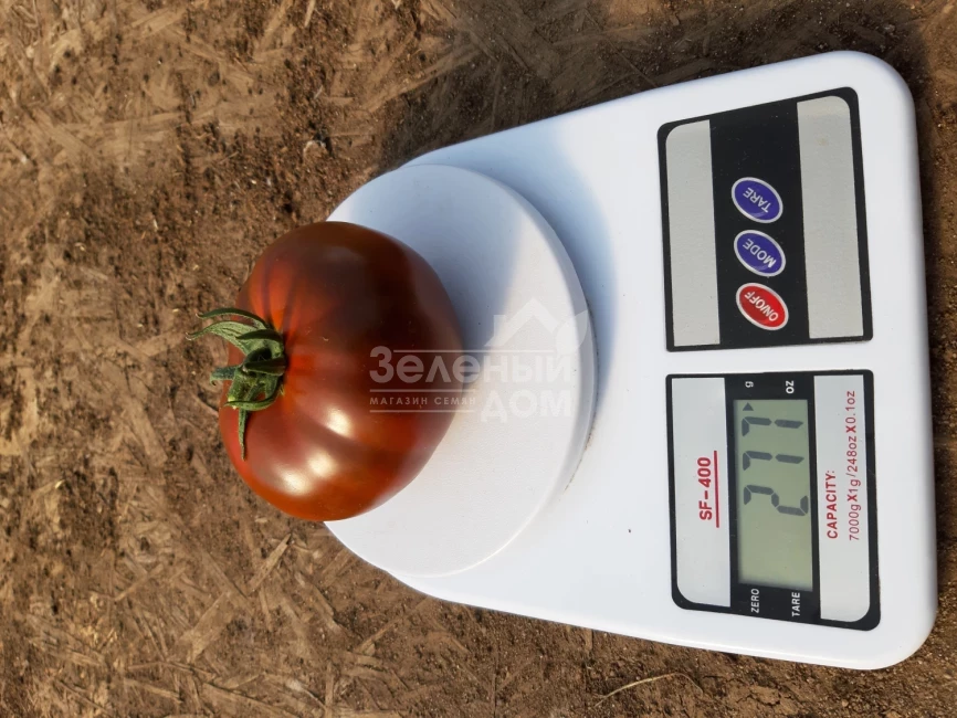 Керук F1 / Keruk F1, 70 дней фото 2