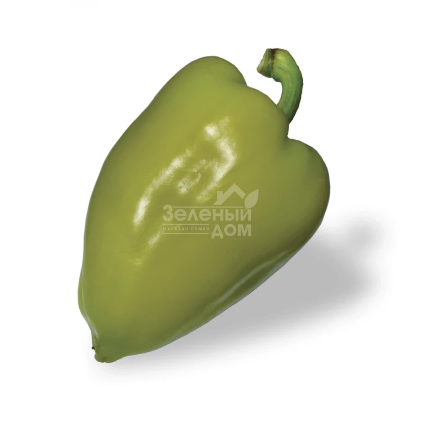 Троян F1 / Trojan F1, 60-65 дней фото 1