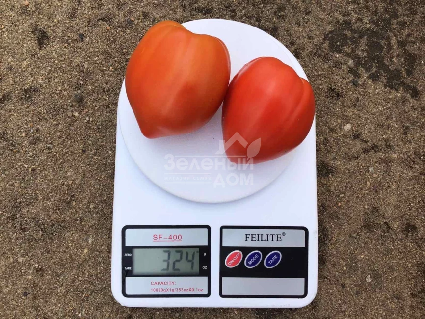 Массон F1 / Masson F1 фото 1