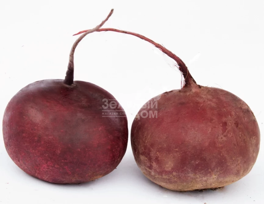 Воевода / Voievoda,110-120 дней фото 1