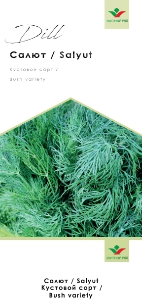 Салют / Saluyt фото 1