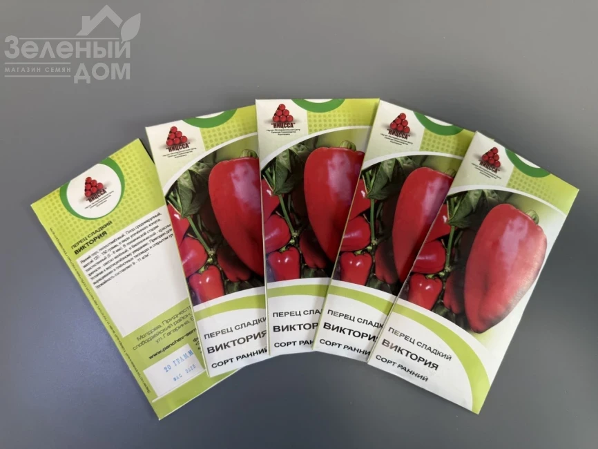 Виктория / Viktoria фото 2