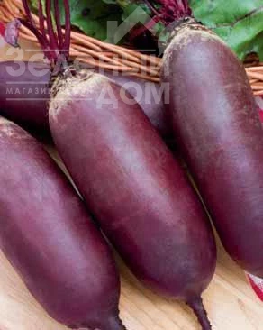 Атаман / Ataman фото 1