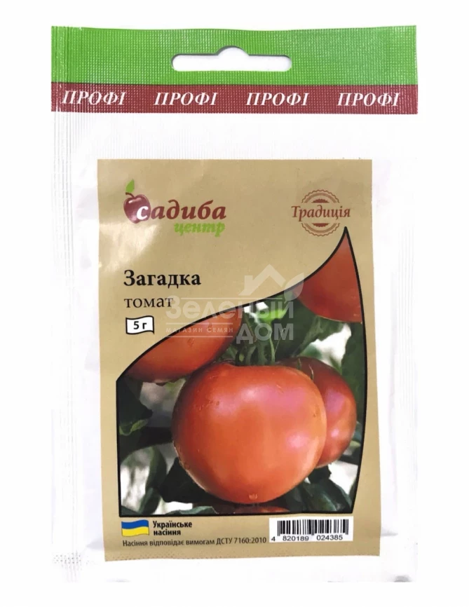 Загадка / Zagadka фото 1